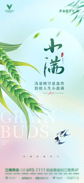 小满节气海报