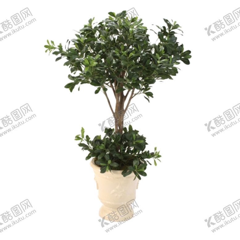 编号：48144307091114214936【酷图网】源文件下载-免抠背景花草树木