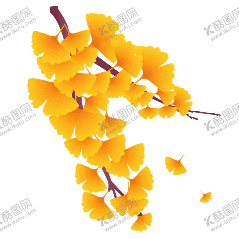 编号：45941304252322556396【酷图网】源文件下载-秋天银杏叶