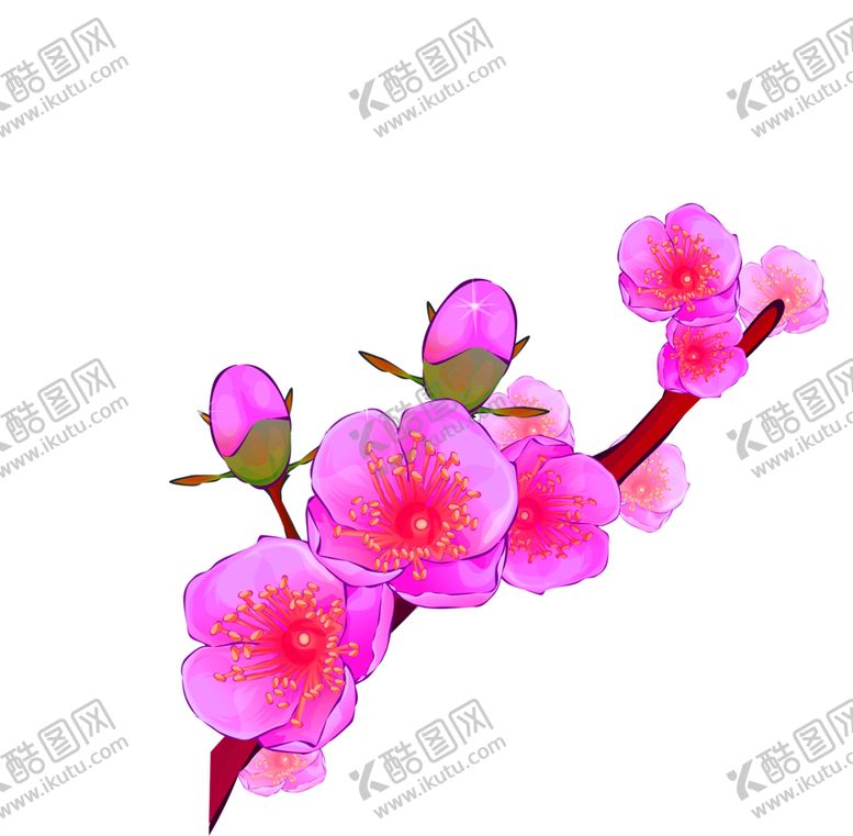 编号：50646210192047284659【酷图网】源文件下载-鲜花素材