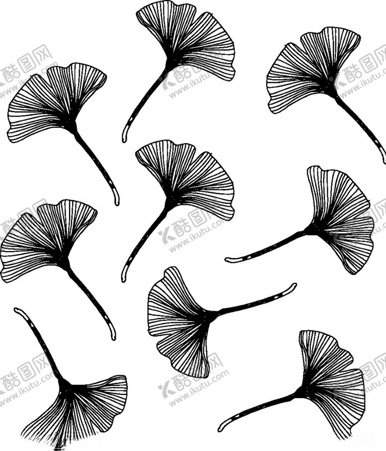 编号：93635809271434589184【酷图网】源文件下载-黑白简约线条植物绘画