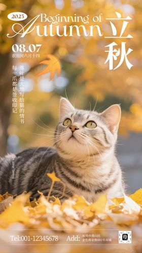 立秋写实照片惬意