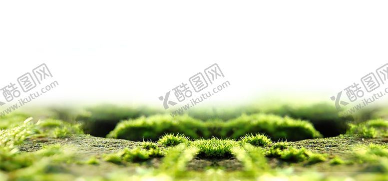 编号：77800910161722567753【酷图网】源文件下载-绿色背景