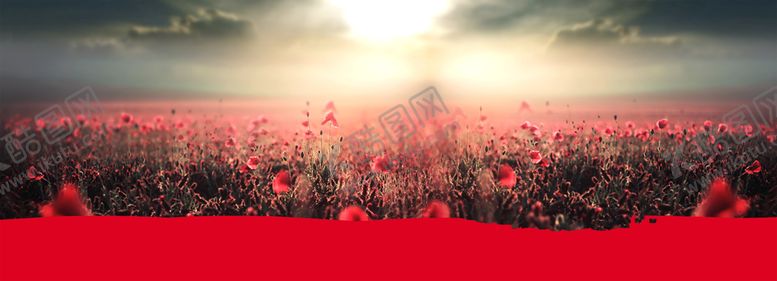 编号：36971710080026347315【酷图网】源文件下载-背景图片