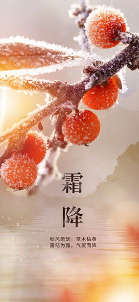 霜降节气设计中国传统节气地产海报朋友圈问侯