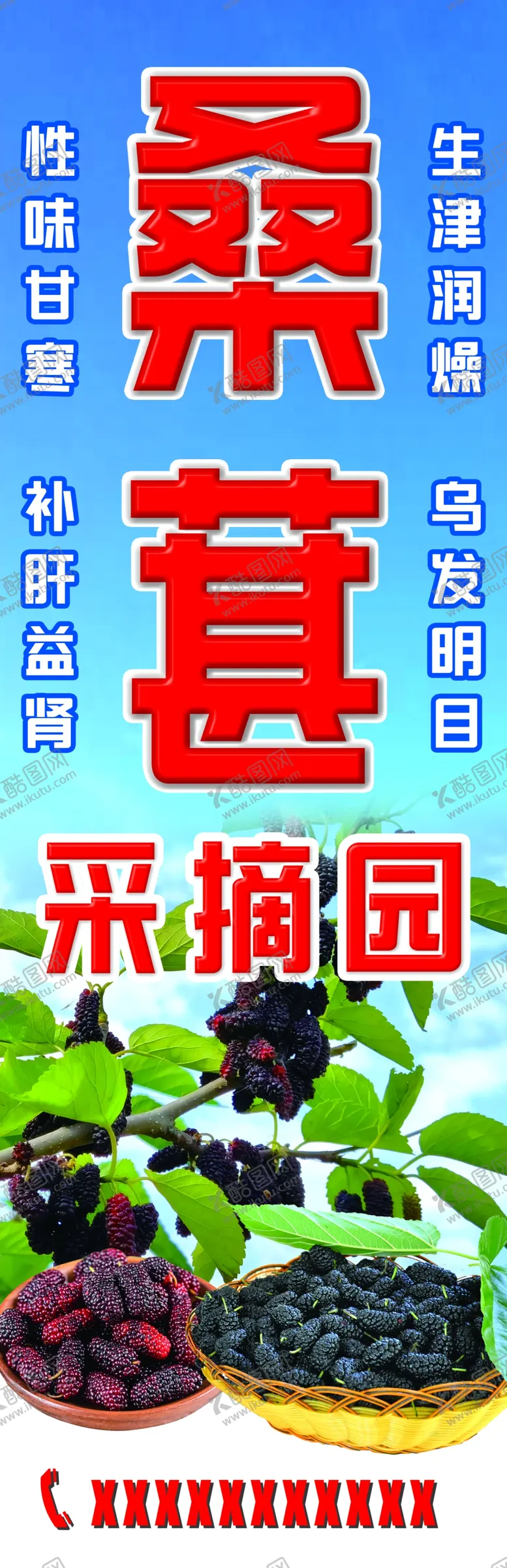 编号：88274002270655112244【酷图网】源文件下载-桑葚采摘园