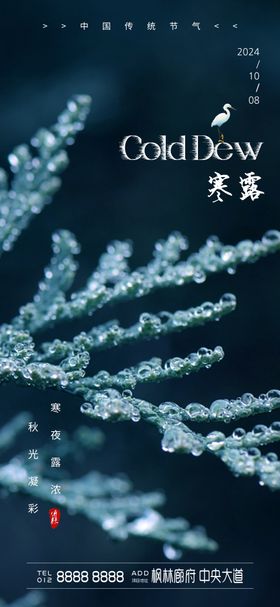 寒露节气传统活动海报素材