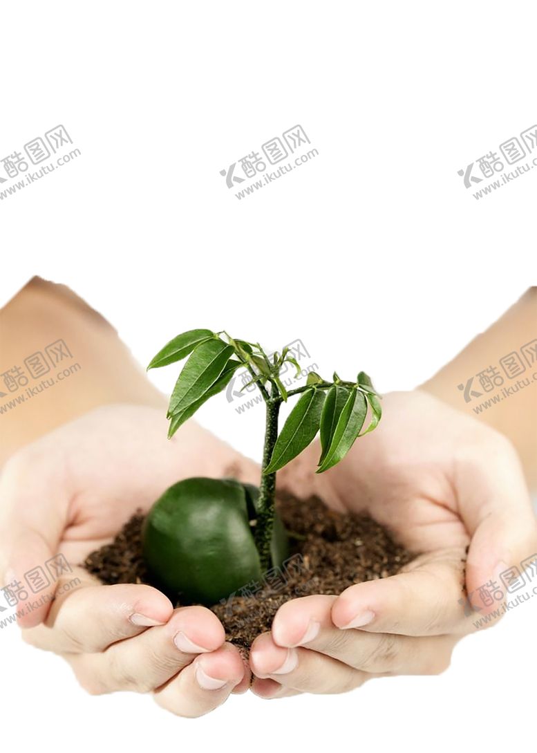 编号：78193210141745262640【酷图网】源文件下载-绿色植物