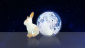 中秋美陈DP点