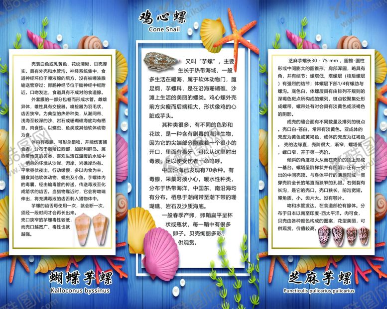 编号：54364109280037329249【酷图网】源文件下载-海洋馆