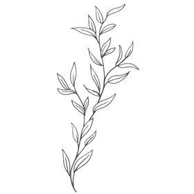 手绘植物