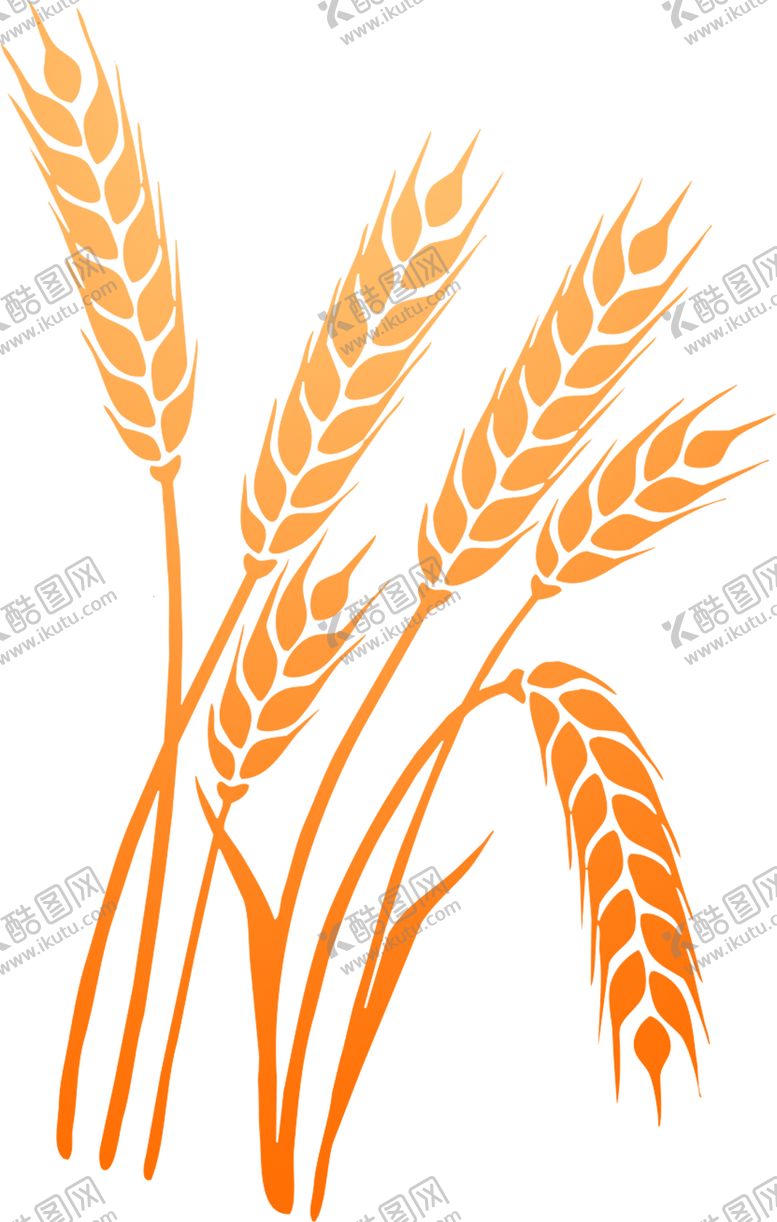 编号：91797810291552133556【酷图网】源文件下载-小麦