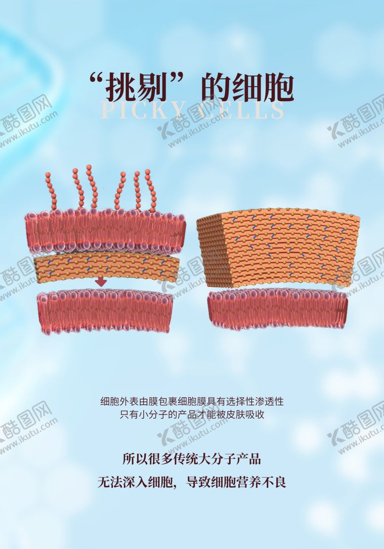 编号：72209302231110536374【酷图网】源文件下载-挑剔的细胞