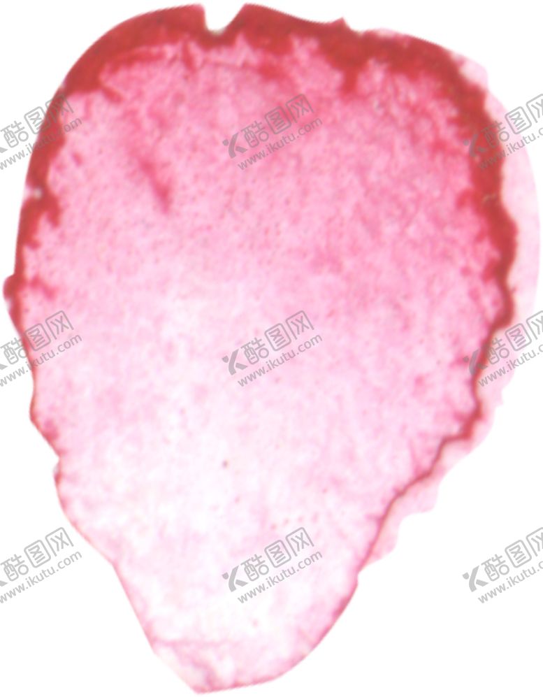 编号：75236906142225476621【酷图网】源文件下载-水彩手绘花卉花朵植物