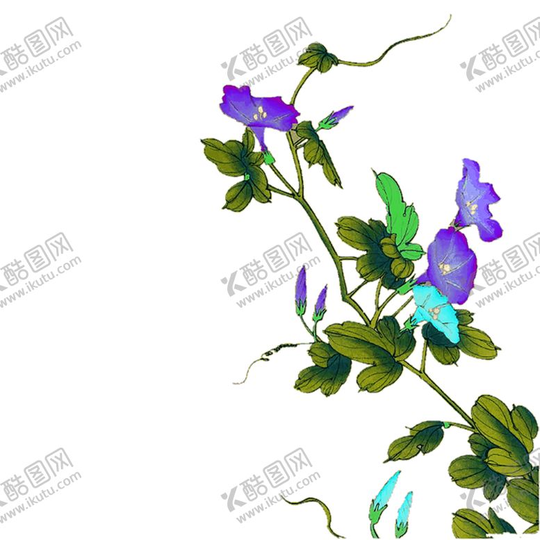编号：19268307092149261026【酷图网】源文件下载-植物