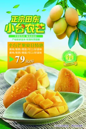 芒果海报专卖水店文化广西