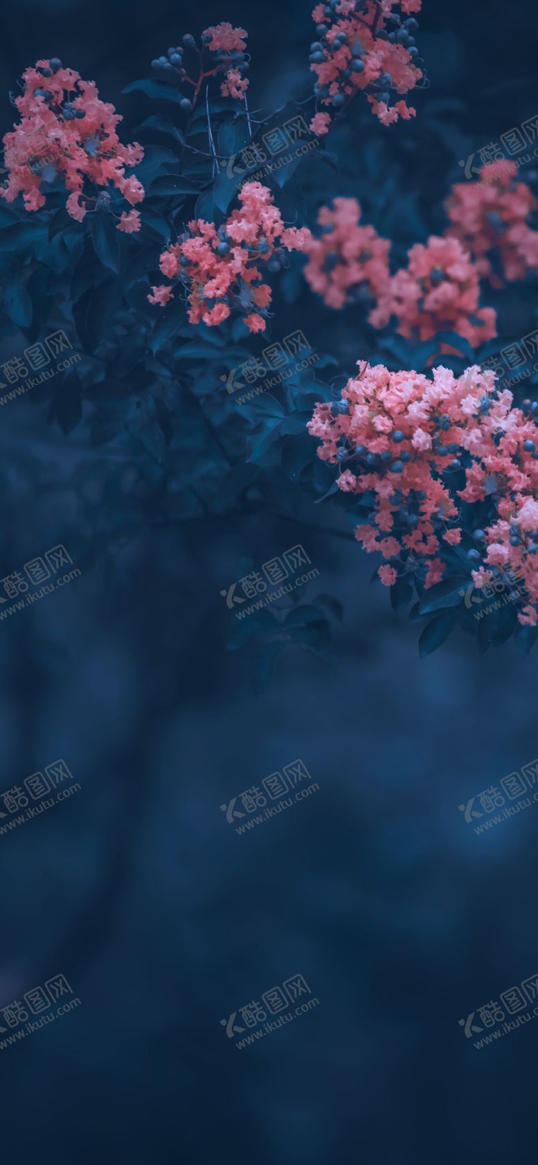 编号：55465106280149071138【酷图网】源文件下载-手机壁纸