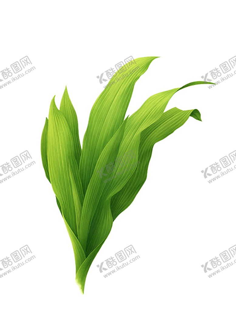 编号：34180107022133164105【酷图网】源文件下载-绿色相框