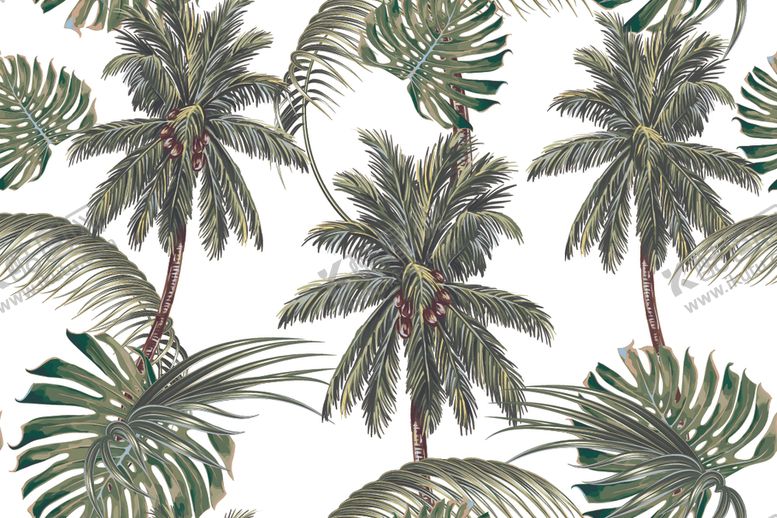 编号：14382309190413167964【酷图网】源文件下载-热带叶子