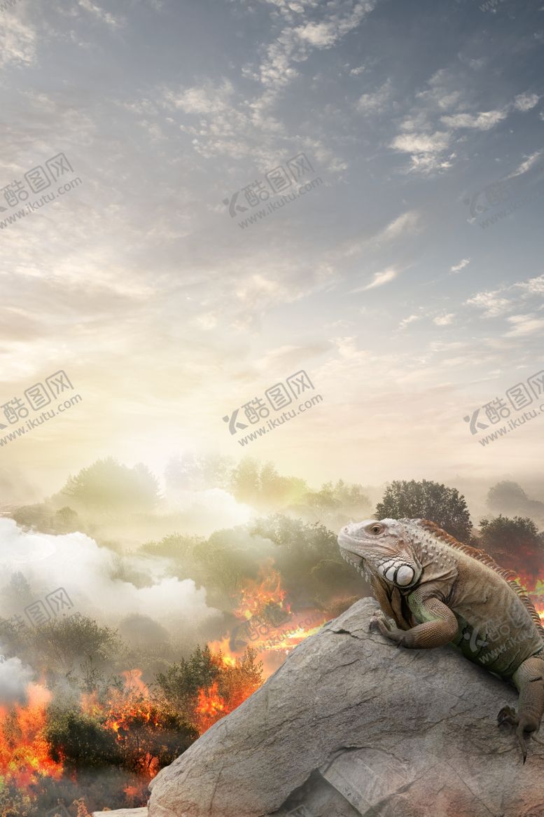 编号：75656509111810318004【酷图网】源文件下载-保护动物