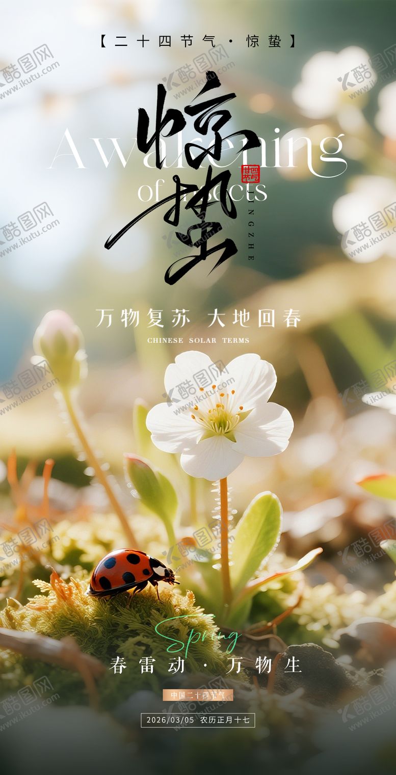 编号：98965903020228148767【酷图网】源文件下载-惊蛰海报