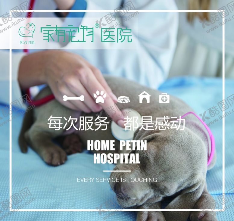 编号：41530010250040371451【酷图网】源文件下载-宠物