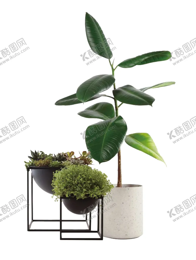 编号：71613303261426177344【酷图网】源文件下载-绿植花瓶