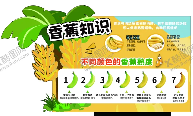 编号：81823102170903568635【酷图网】源文件下载-香蕉成熟度