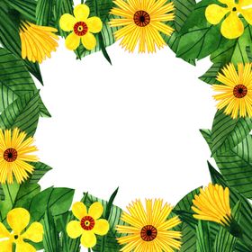 花环圆形边框手绘小清