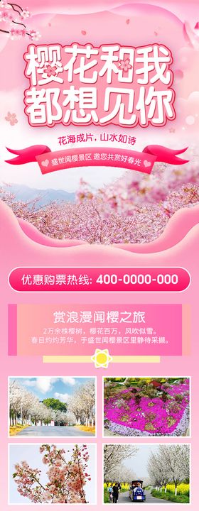 樱花景区旅游推广长图专题设计