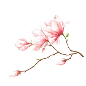 水墨传统国风花朵