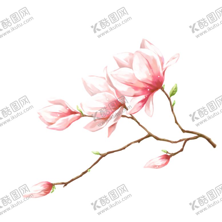 编号：66185807040010472590【酷图网】源文件下载-水墨传统国风花朵