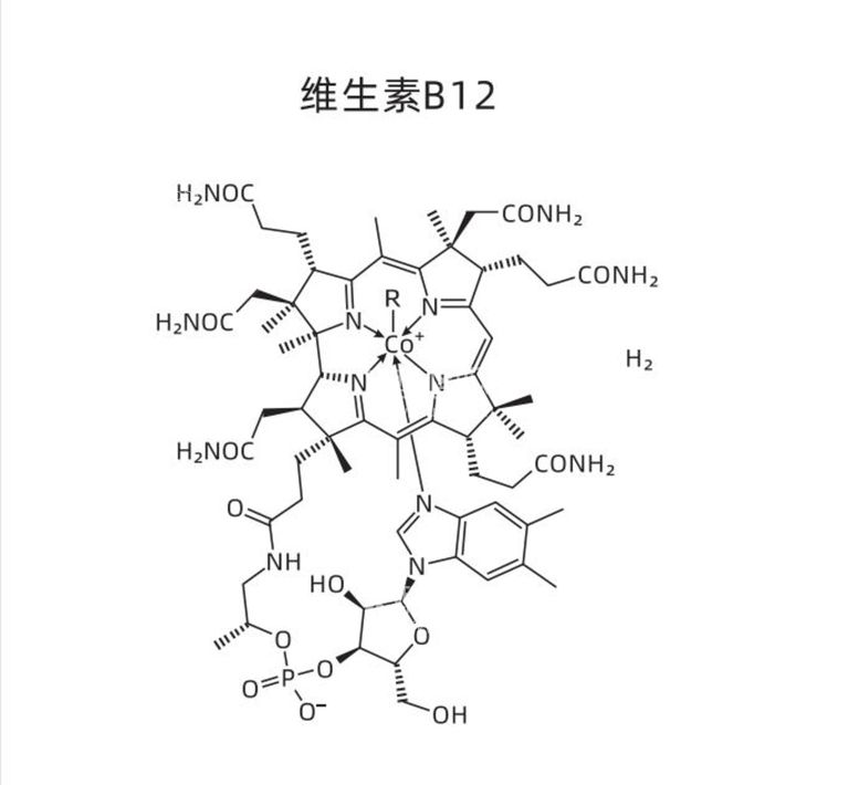 编号：14649711180925512582【酷图网】源文件下载-维生素B12 化学方程式 矢量