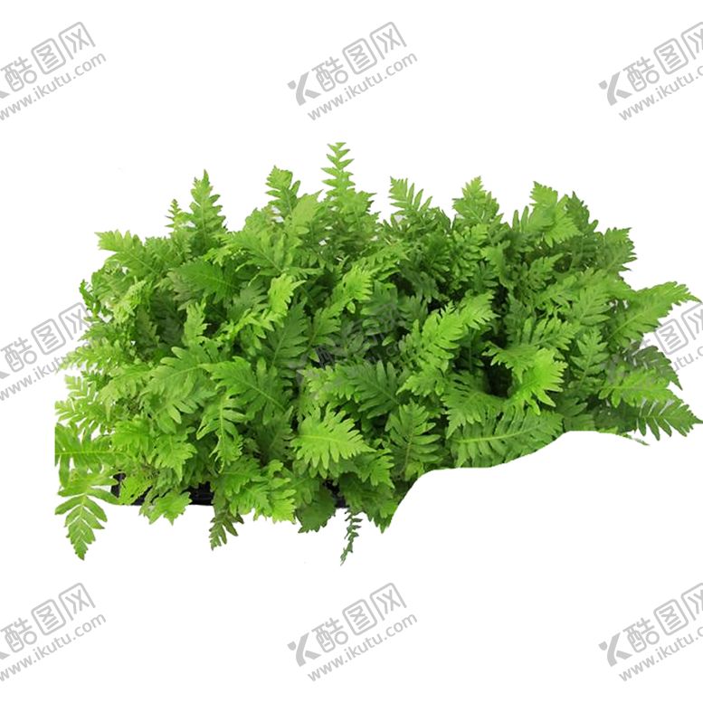 编号：41880409300723134911【酷图网】源文件下载-绿色相框