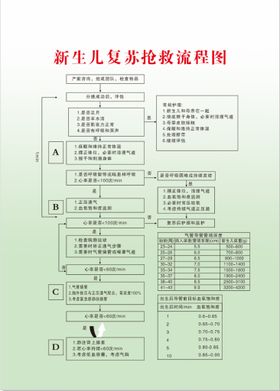 新生儿复苏抢救流程图