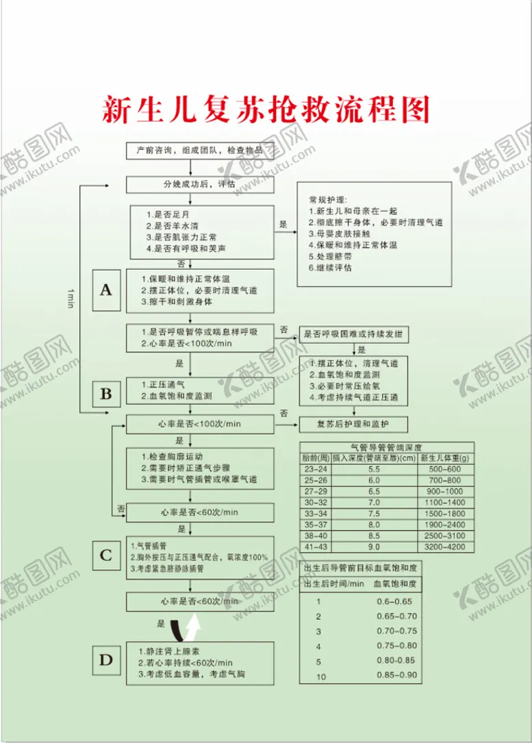 编号：18228201141545261890【酷图网】源文件下载-新生儿复苏抢救流程图