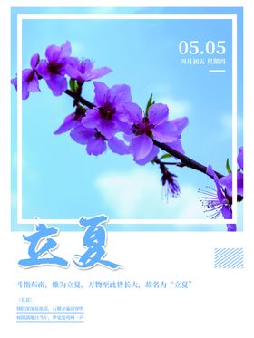 唯美创意地产海报