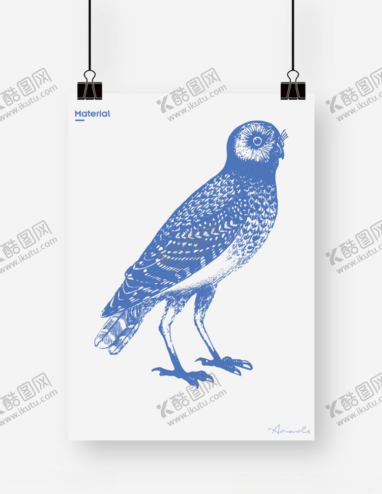 编号：19843206290935308534【酷图网】源文件下载-鹞鹰