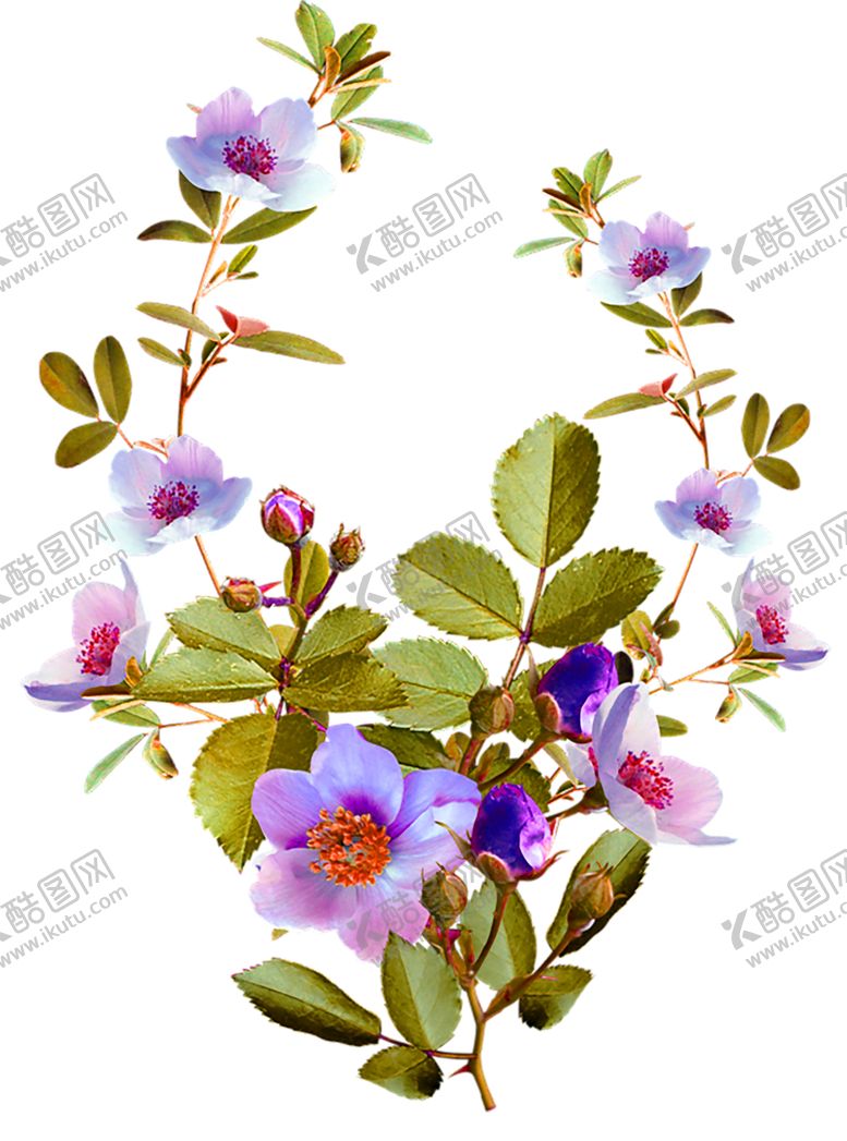 编号：41692010021752254593【酷图网】源文件下载-鲜花素材