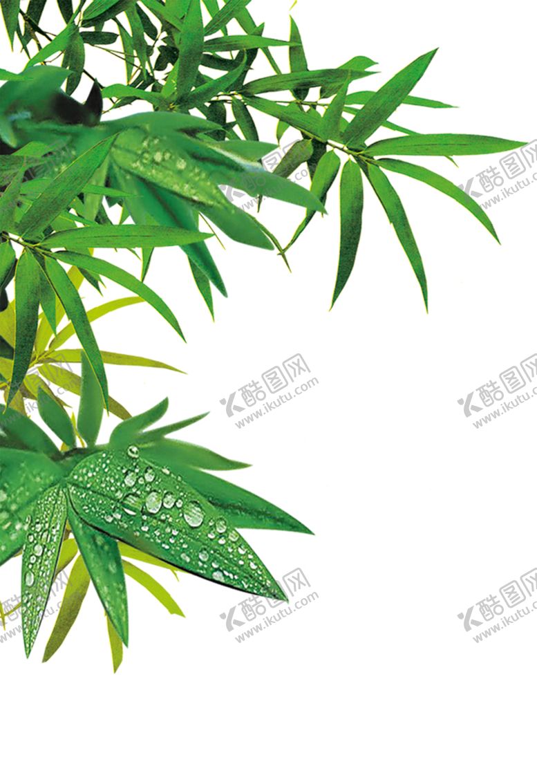 编号：39780511011445319411【酷图网】源文件下载-竹子竹叶
