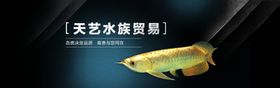 观赏鱼水族器材产品海报