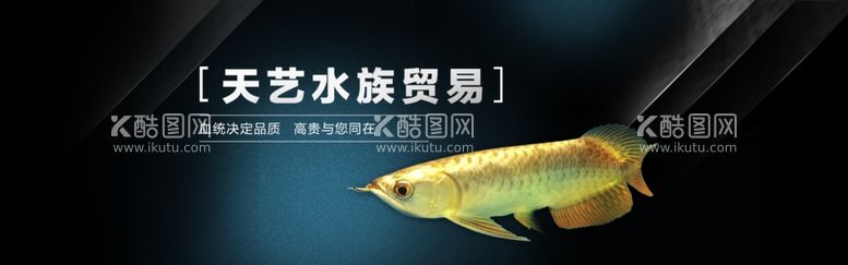 编号：79793511271232432470【酷图网】源文件下载-水族观赏鱼金龙鱼海报