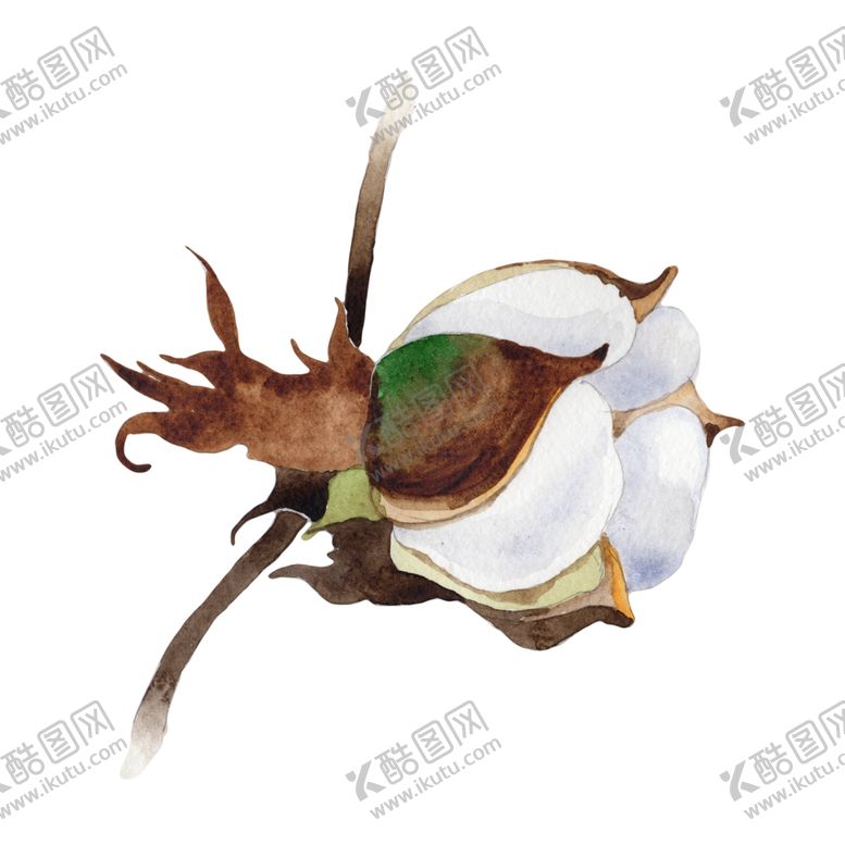 编号：54045209170110254121【酷图网】源文件下载-棉花壳