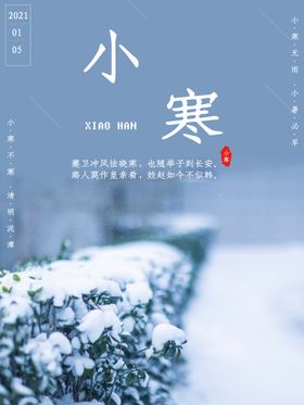 小寒海报节日插画24节气夏至X展架