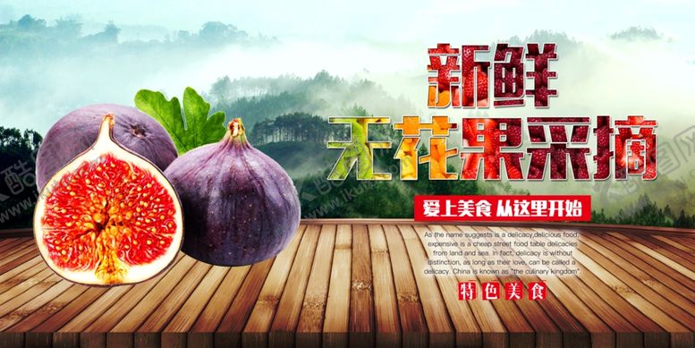 编号：61658710240326562225【酷图网】源文件下载-无花果采摘宣传海报