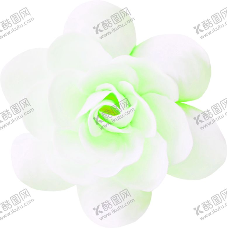 编号：85861709220850128026【酷图网】源文件下载-花素材