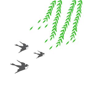 柳条柳枝