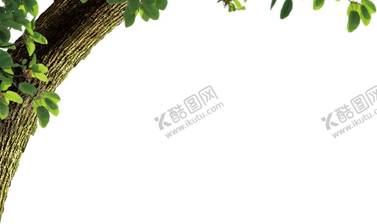 编号：55707806150954176034【酷图网】源文件下载-绿色相框