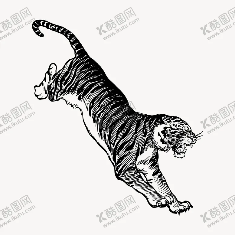编号：74777707111144161594【酷图网】源文件下载-矢量线条手绘老虎插画