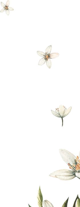 花纹边框
